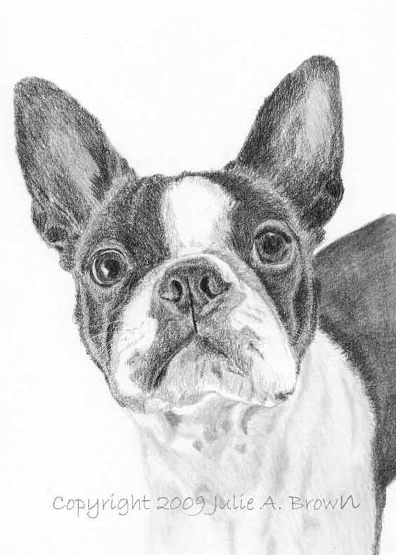 Personalised Watercolour Print Pet Portrait Cat Dog Horse Any Animal Pet Art