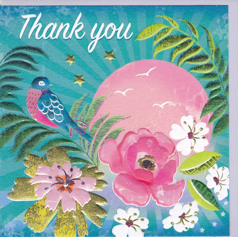 bird sun thank you card karenza paperie